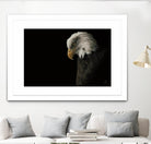 Eagle Bow by Nathan Larson on GIANT ART - white animals oiseau