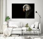 Eagle Bow by Nathan Larson on GIANT ART - white animals oiseau