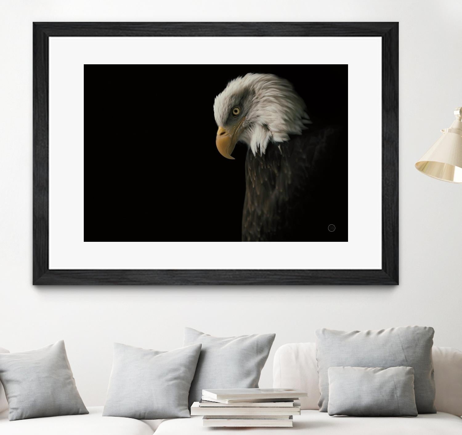 Eagle Bow by Nathan Larson on GIANT ART - white animals oiseau