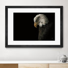 Eagle Bow by Nathan Larson on GIANT ART - white animals oiseau