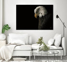 Eagle Bow by Nathan Larson on GIANT ART - animals american eagle