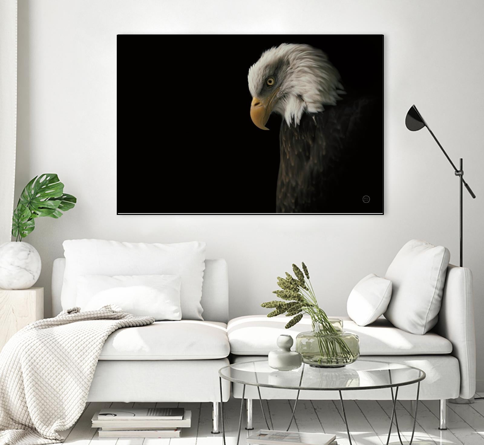 Eagle Bow by Nathan Larson on GIANT ART - animals american eagle