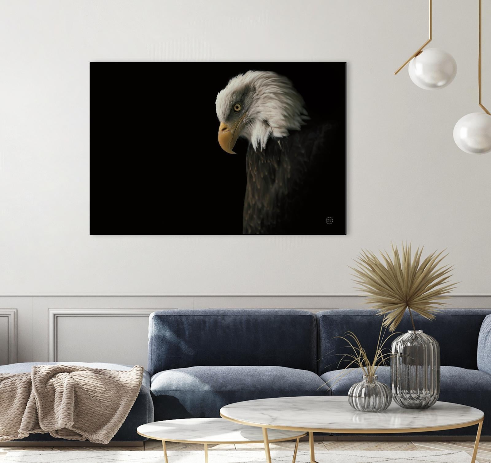 Eagle Bow by Nathan Larson on GIANT ART - animals american eagle