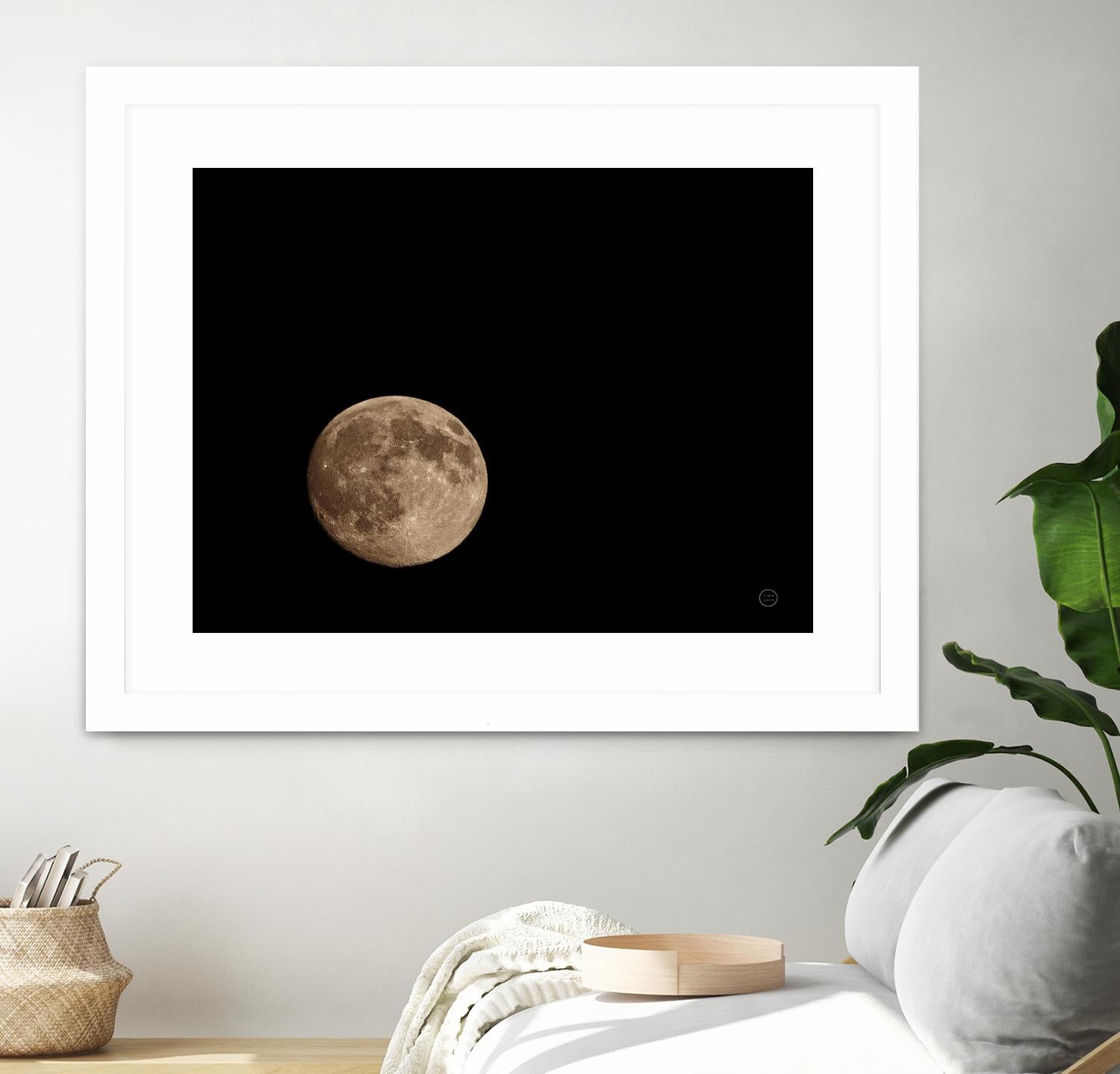 Moon Detail II by Nathan Larson on GIANT ART - black astronomy & celestial moon