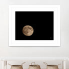Moon Detail II by Nathan Larson on GIANT ART - black astronomy & celestial moon