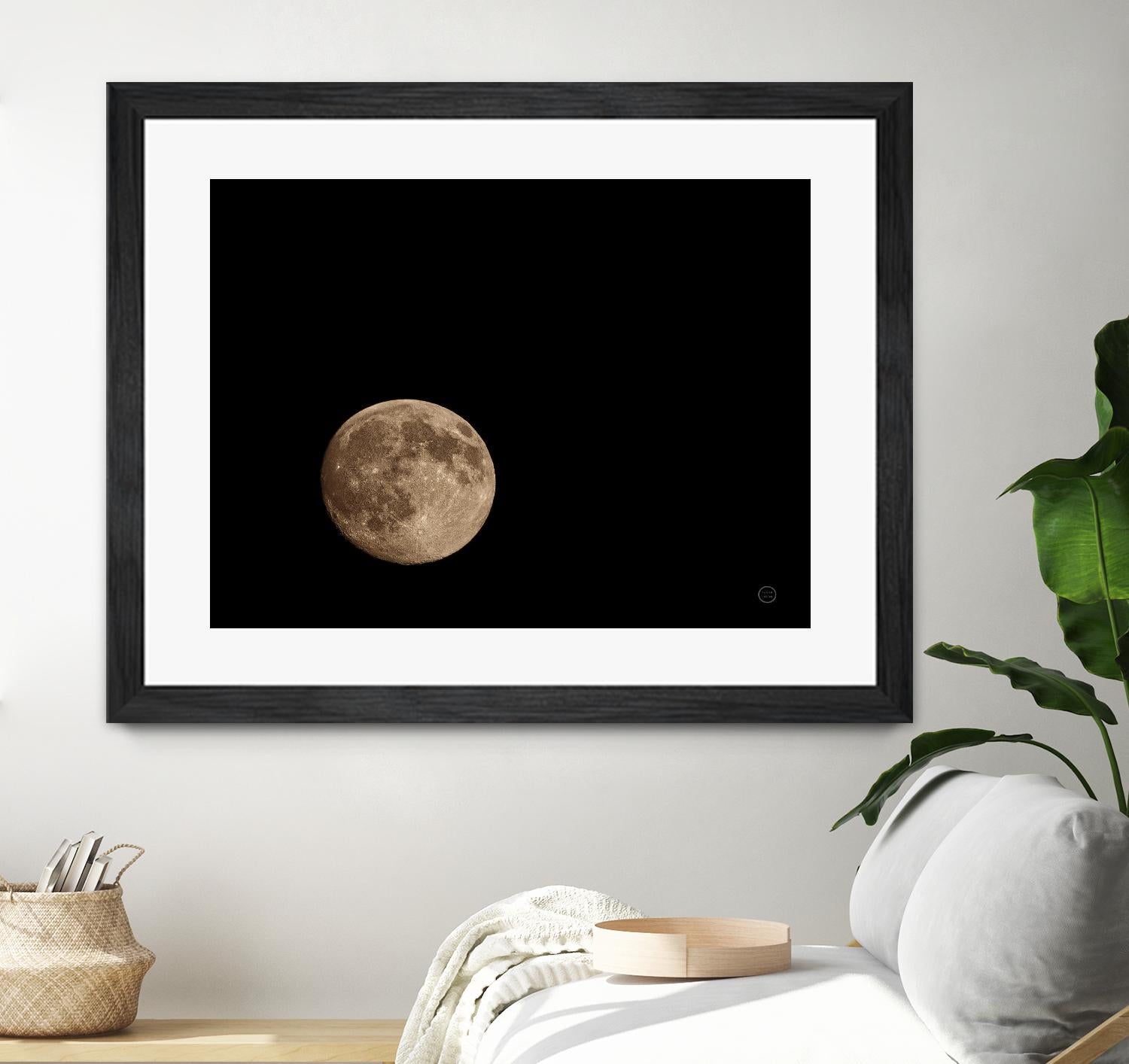 Moon Detail II by Nathan Larson on GIANT ART - black astronomy & celestial moon