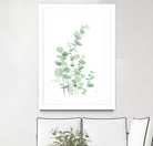 Eucalyptus I by Katrina Pete on GIANT ART - green plants & trees eucalyptus plants