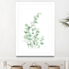 Eucalyptus I by Katrina Pete on GIANT ART - green plants & trees eucalyptus plants