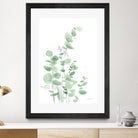 Eucalyptus I by Katrina Pete on GIANT ART - green plants & trees eucalyptus plants