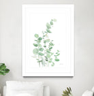Eucalyptus I by Katrina Pete on GIANT ART - green plants & trees eucalyptus plants