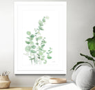 Eucalyptus I by Katrina Pete on GIANT ART - green plants & trees eucalyptus plants