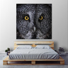 Great Grey Owl by Nathan Larson on GIANT ART - animals animals