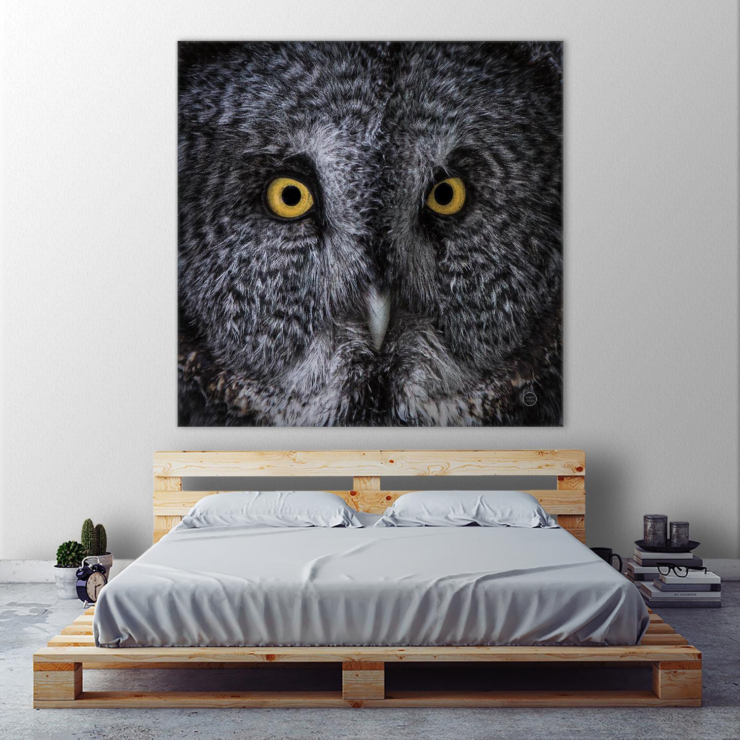 Great Grey Owl by Nathan Larson on GIANT ART - animals animals