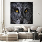 Great Grey Owl by Nathan Larson on GIANT ART - animals animals