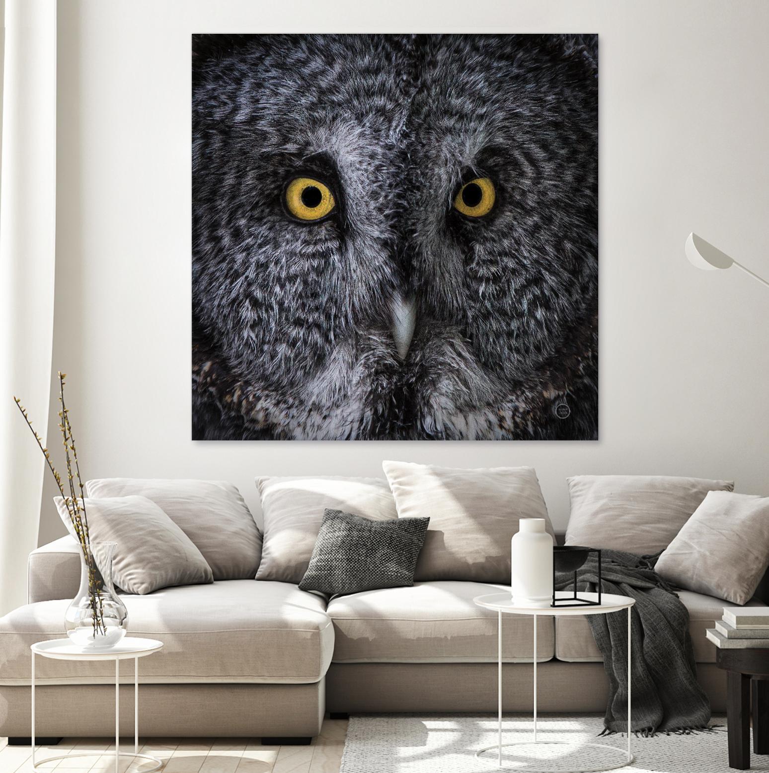 Great Grey Owl by Nathan Larson on GIANT ART - animals animals