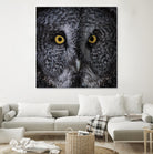 Great Grey Owl by Nathan Larson on GIANT ART - animals animals