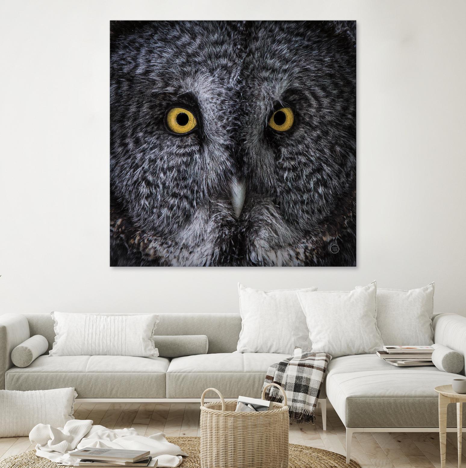 Great Grey Owl by Nathan Larson on GIANT ART - animals animals
