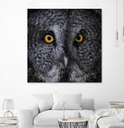 Great Grey Owl by Nathan Larson on GIANT ART - animals animals