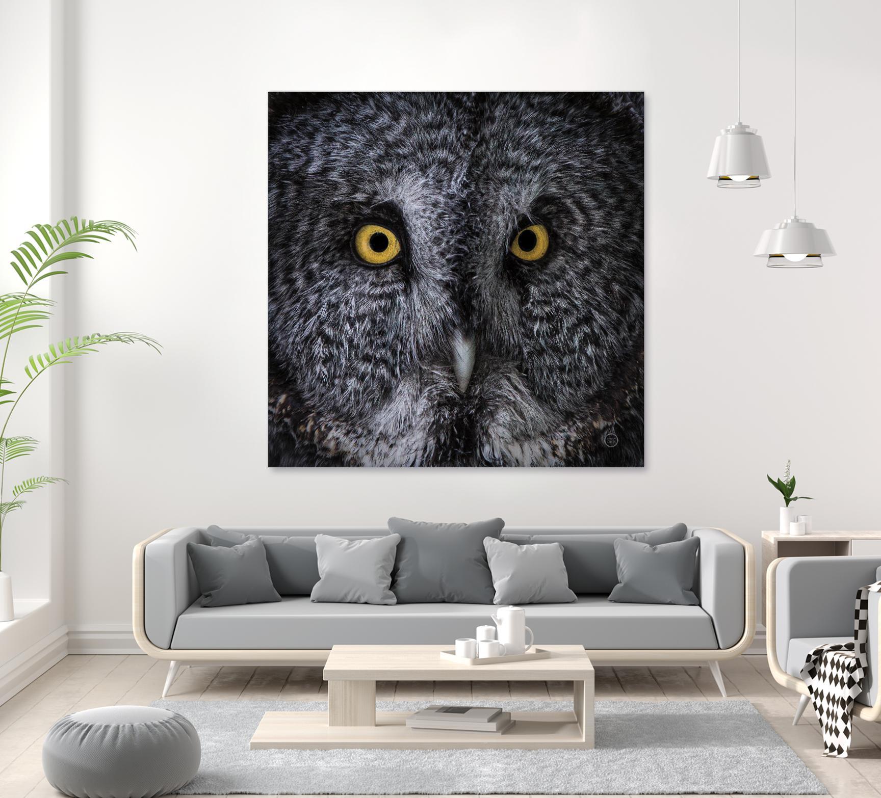 Great Grey Owl by Nathan Larson on GIANT ART - animals animals
