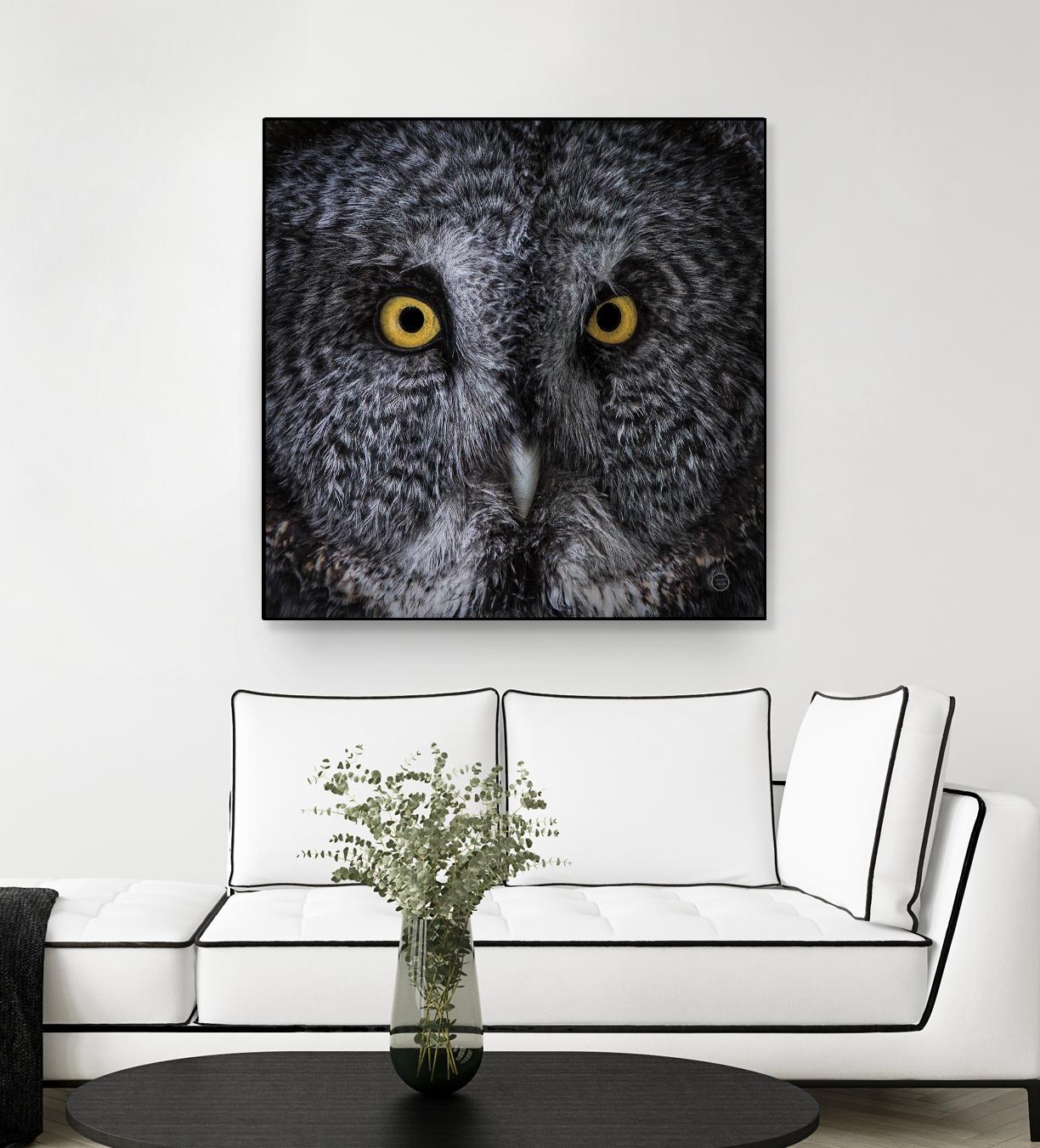 Great Grey Owl by Nathan Larson on GIANT ART - animals animals
