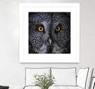 Great Grey Owl by Nathan Larson on GIANT ART - animals animals