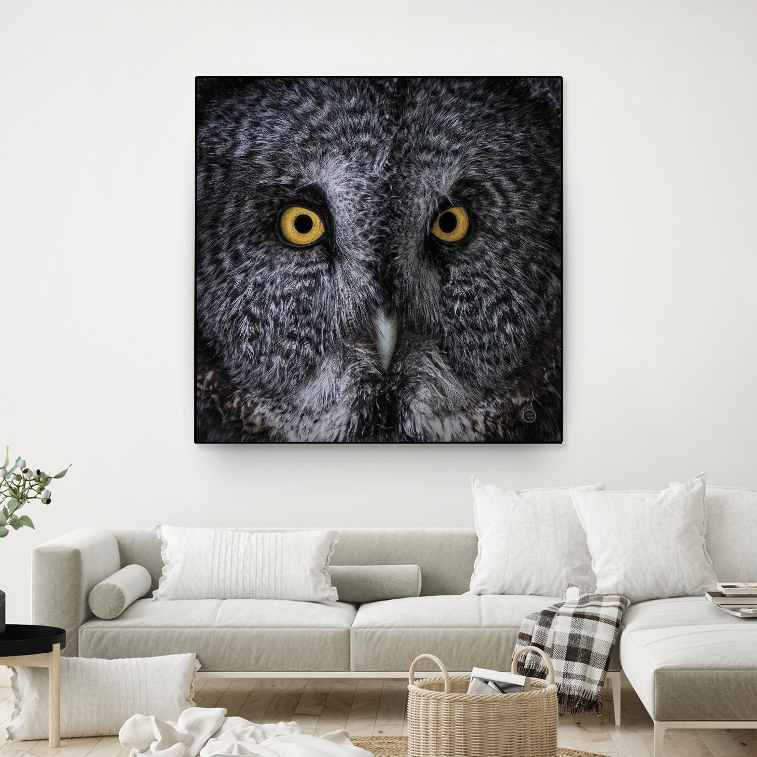 Great Grey Owl by Nathan Larson on GIANT ART - animals animals