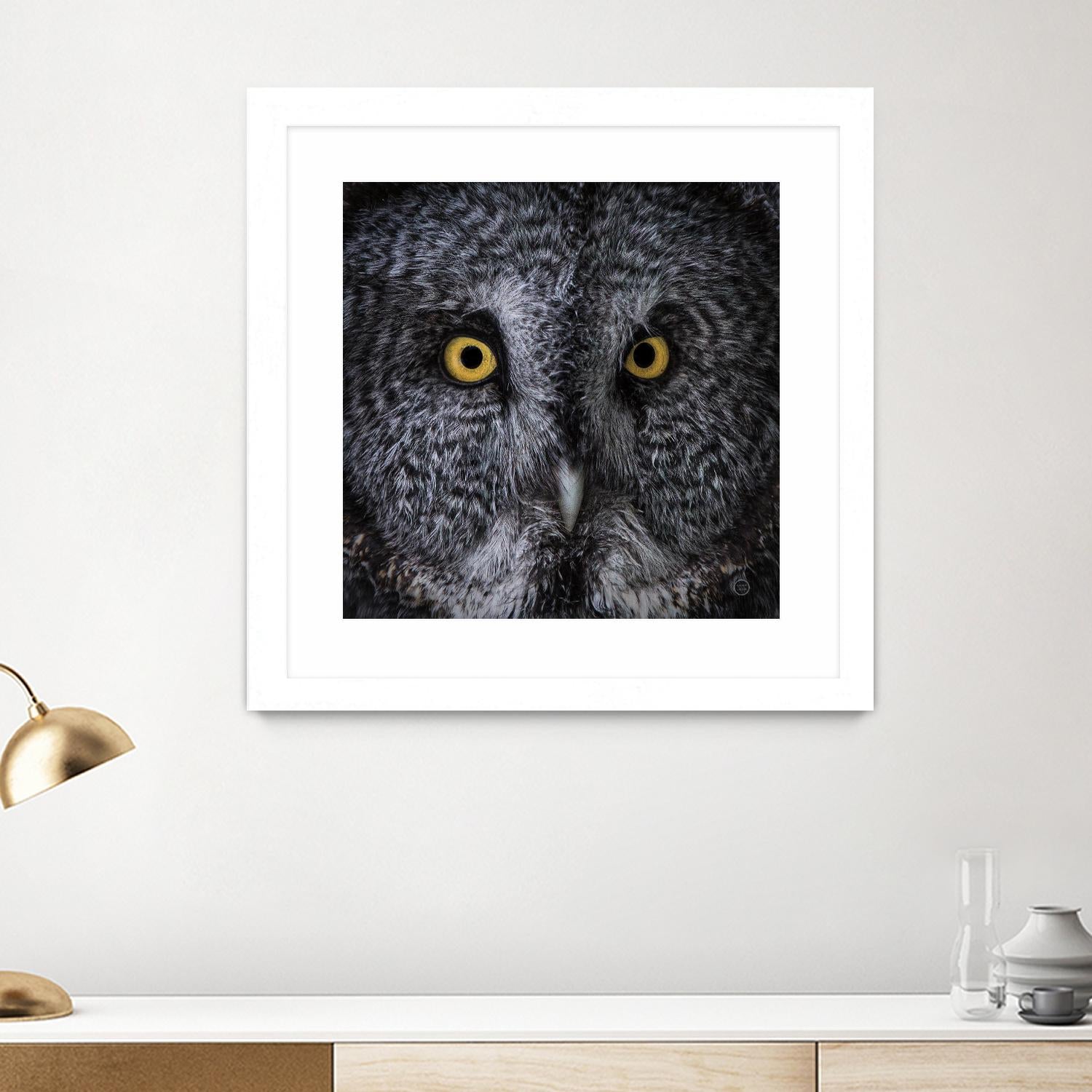 Great Grey Owl by Nathan Larson on GIANT ART - animals animals