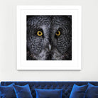 Great Grey Owl by Nathan Larson on GIANT ART - animals animals
