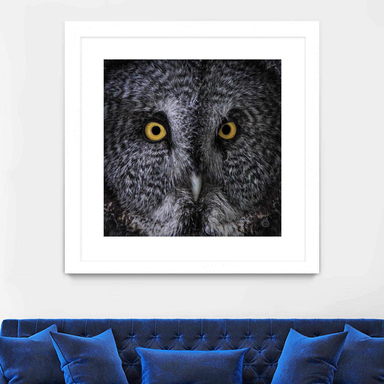 Great Grey Owl by Nathan Larson on GIANT ART - animals animals