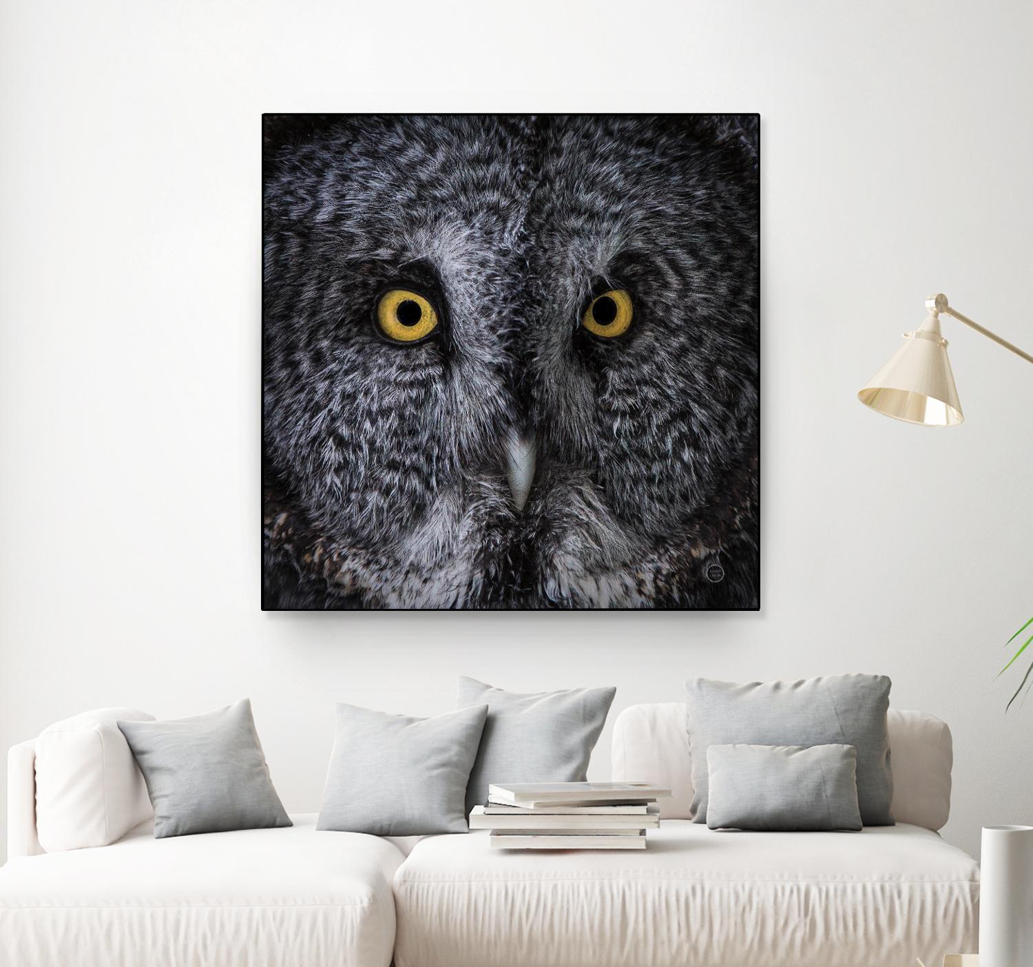 Great Grey Owl by Nathan Larson on GIANT ART - animals animals