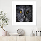 Great Grey Owl by Nathan Larson on GIANT ART - animals animals