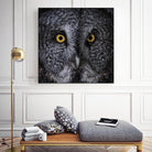 Great Grey Owl by Nathan Larson on GIANT ART - animals animals