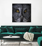 Great Grey Owl by Nathan Larson on GIANT ART - animals animals