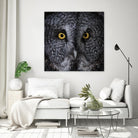 Great Grey Owl by Nathan Larson on GIANT ART - white animals close up