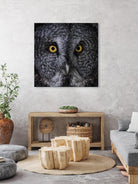 Great Grey Owl by Nathan Larson on GIANT ART - white animals close up