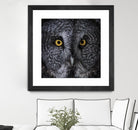 Great Grey Owl by Nathan Larson on GIANT ART - animals animals