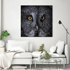 Great Grey Owl by Nathan Larson on GIANT ART - animals animals