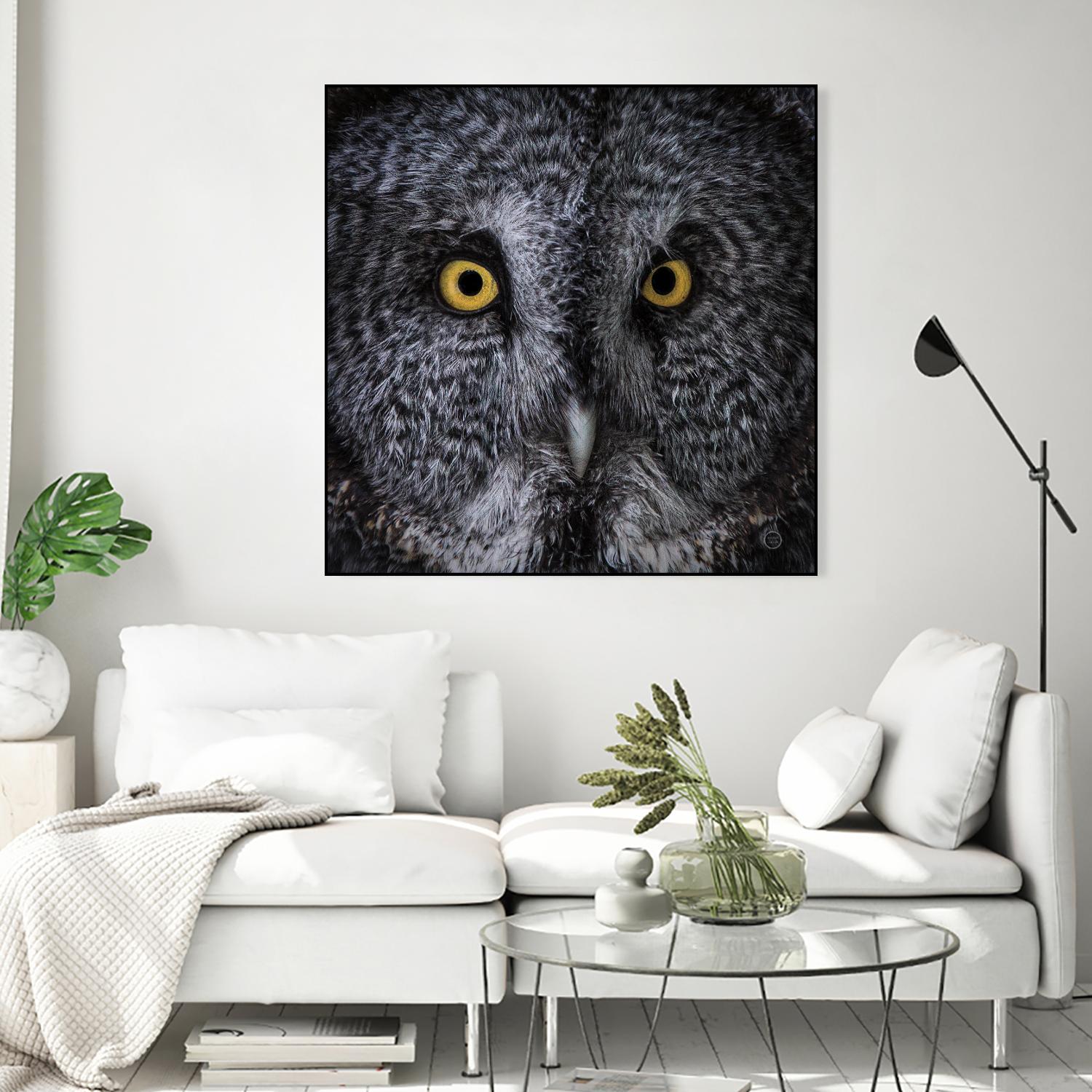 Great Grey Owl by Nathan Larson on GIANT ART - animals animals