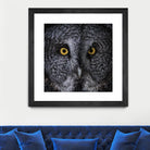 Great Grey Owl by Nathan Larson on GIANT ART - animals animals