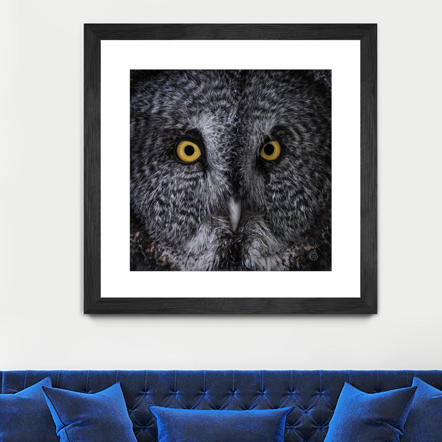 Great Grey Owl by Nathan Larson on GIANT ART - animals animals
