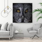 Great Grey Owl by Nathan Larson on GIANT ART - animals animals