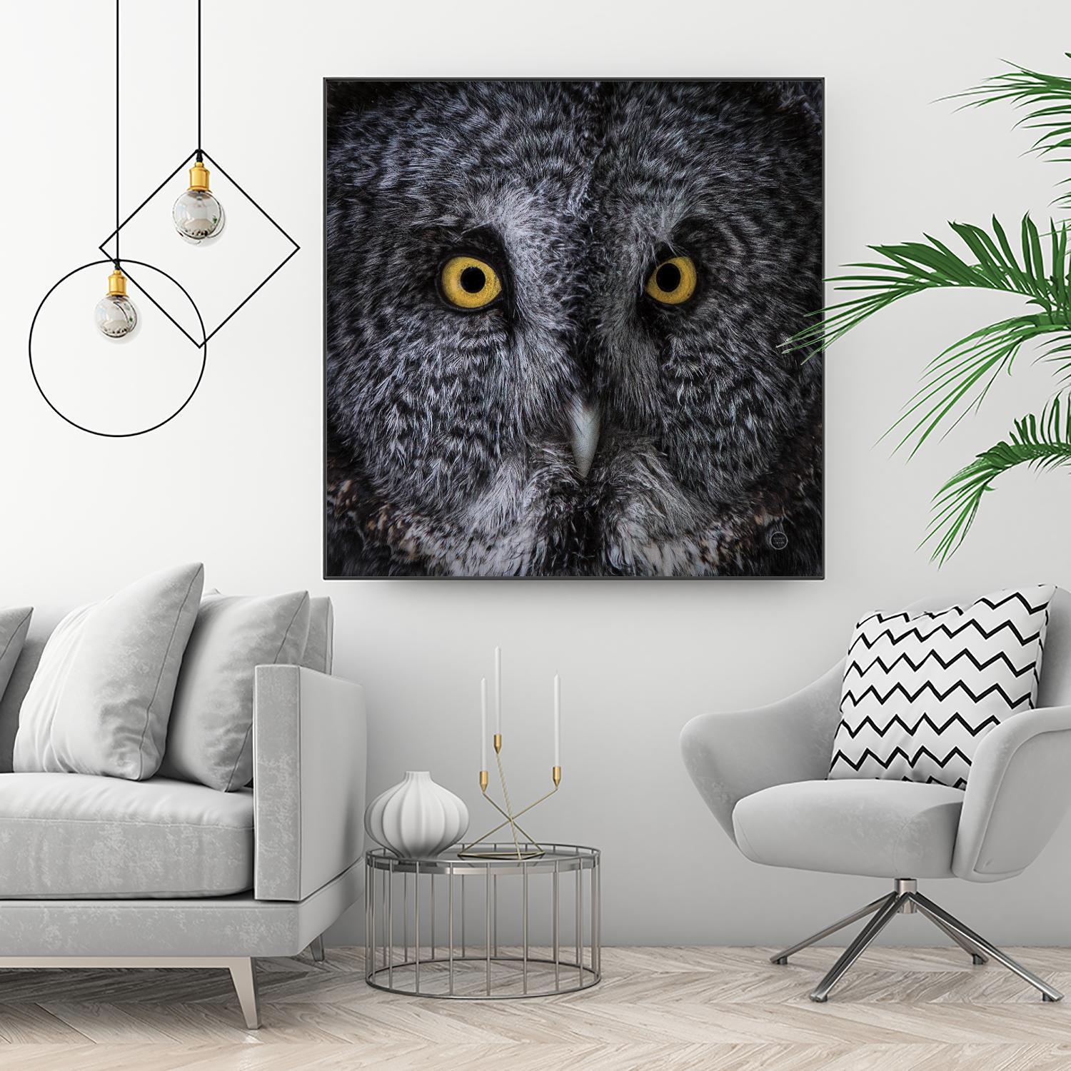 Great Grey Owl by Nathan Larson on GIANT ART - animals animals