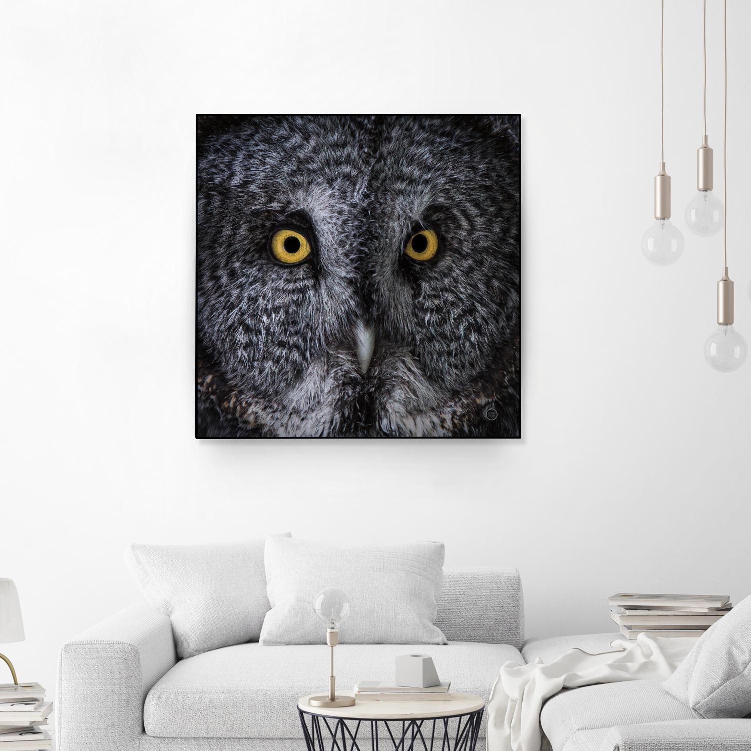 Great Grey Owl by Nathan Larson on GIANT ART - animals animals
