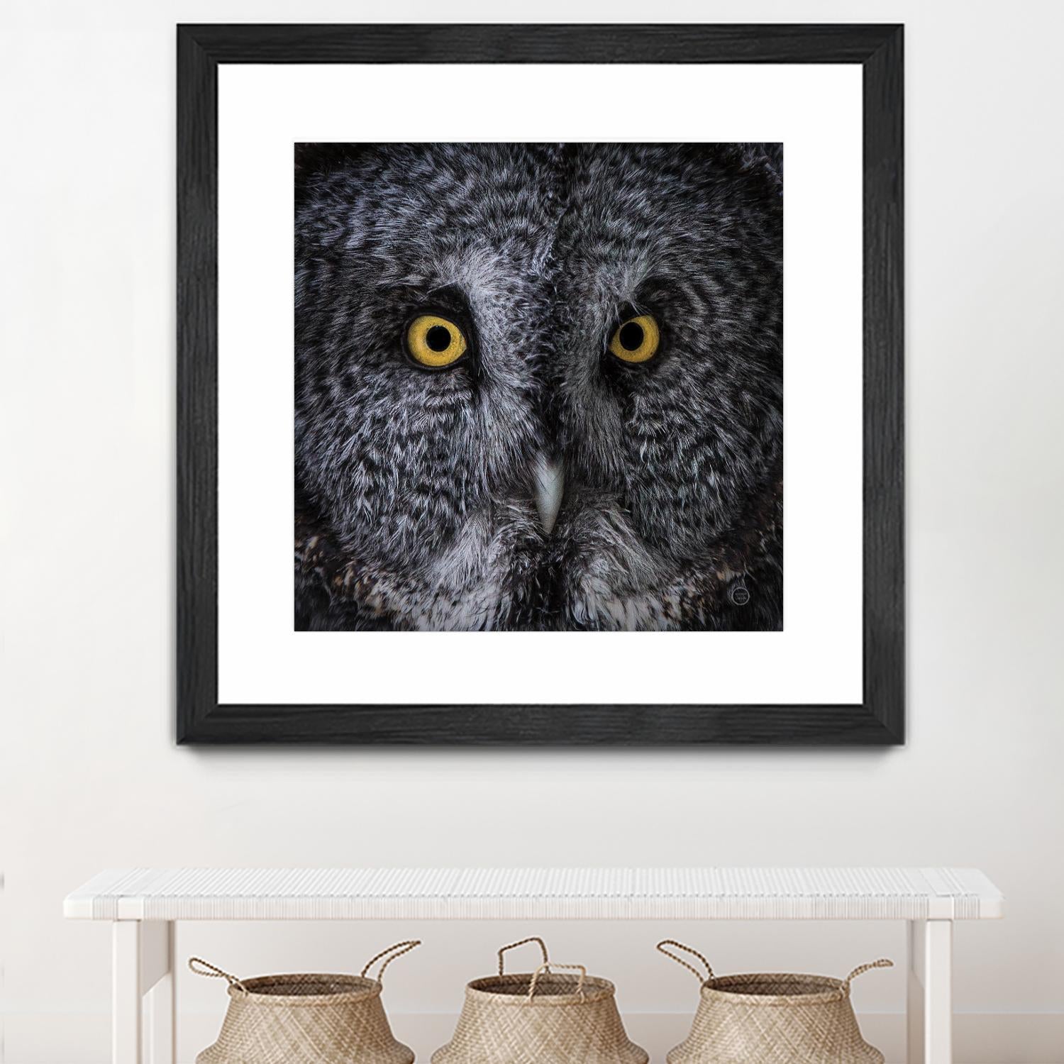 Great Grey Owl by Nathan Larson on GIANT ART - animals animals