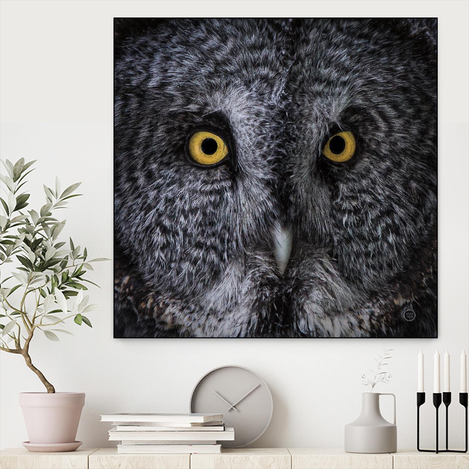 Great Grey Owl by Nathan Larson on GIANT ART - animals animals