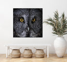 Great Grey Owl by Nathan Larson on GIANT ART - animals animals