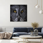 Great Grey Owl by Nathan Larson on GIANT ART - animals animals