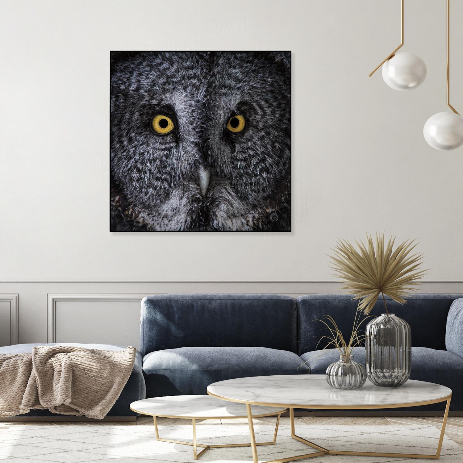 Great Grey Owl by Nathan Larson on GIANT ART - animals animals