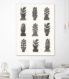 Planted by Courtney Prahl on GIANT ART - millennial black