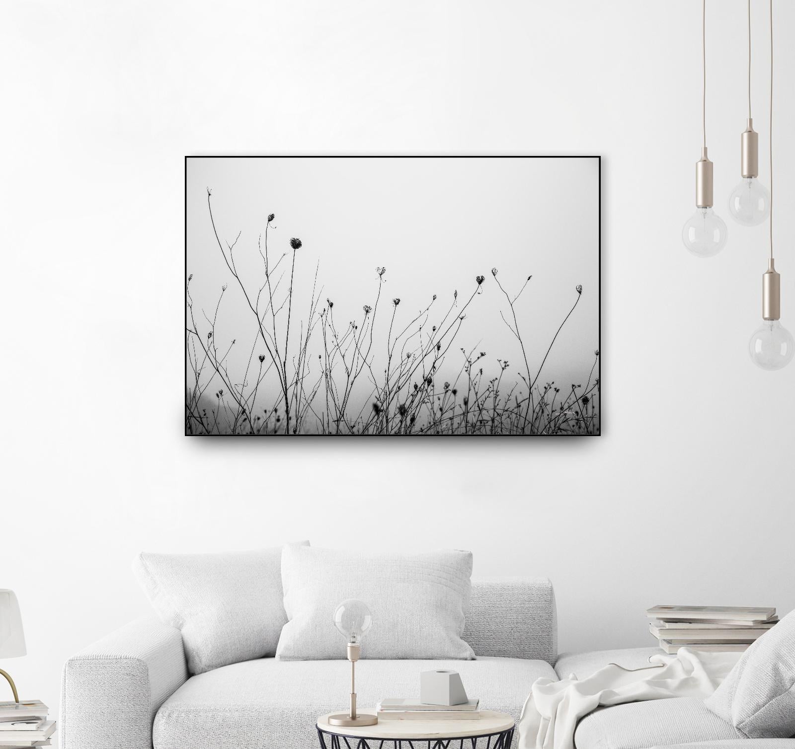 Autumn Grasses by Aledanda on GIANT ART - photography autumn